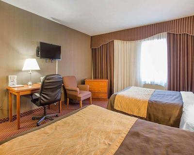 کمفرت این ترنتو آیرپرت