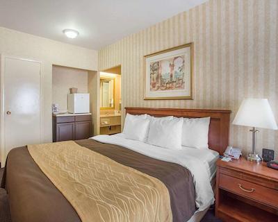 کمفرت این ترنتو آیرپرت