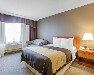 کمفرت این ترنتو آیرپرت