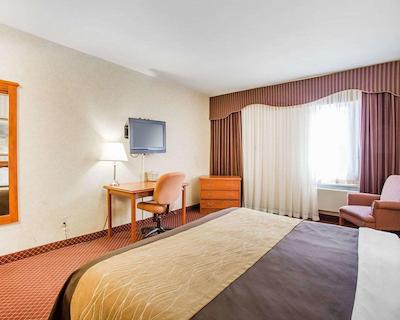 کمفرت این ترنتو آیرپرت