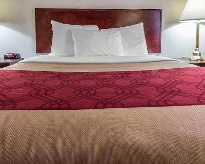 اکنو لج دوندر ب