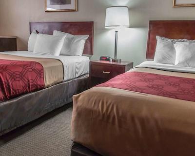 اکنو لج دوندر ب