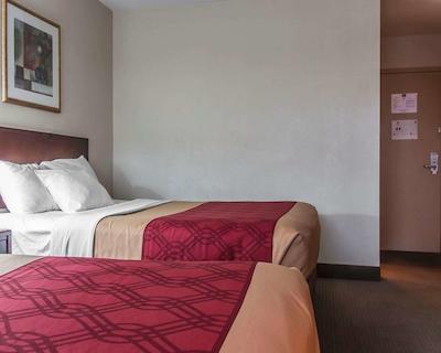 اکنو لج دوندر ب