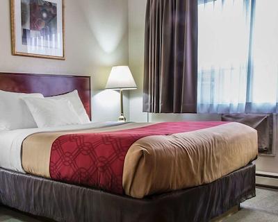 اکنو لج دوندر ب