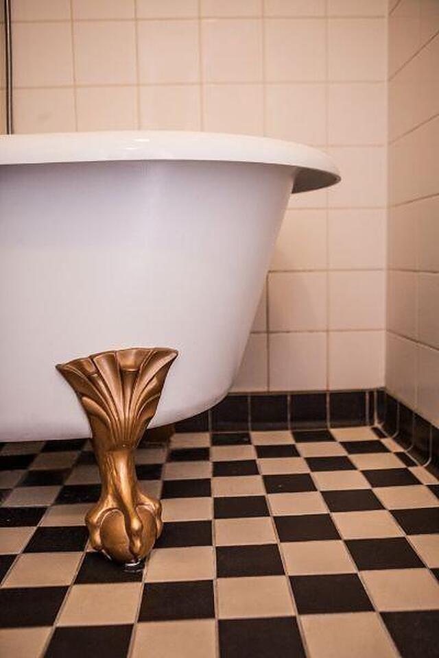 دیکر اند دیجز فنیس