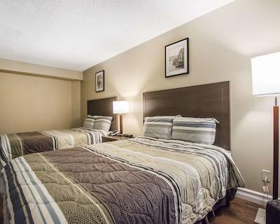 اکنو لج میرامیچی