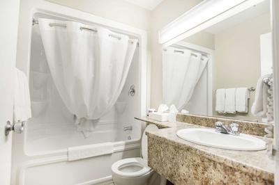 اکنو لج میرامیچی