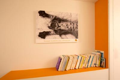 هتل رمند 4 تولوس