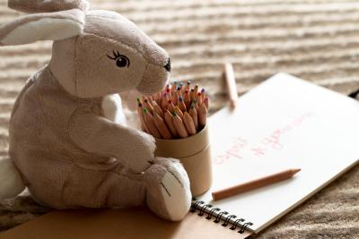 هتل اسپریت ساینت جرمین