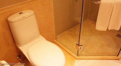 هالیدی این بیجینگ دشنگمن