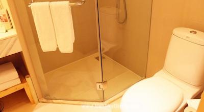 هالیدی این بیجینگ دشنگمن