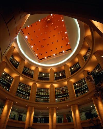 هیات رجنسی فوکوکا