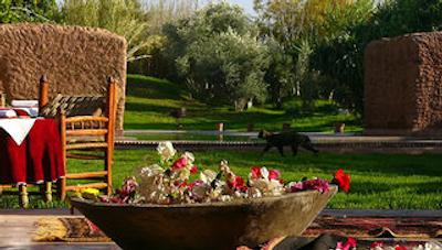 لز دوکس تورز