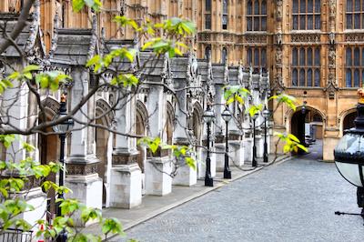 بست وسترن کرنا