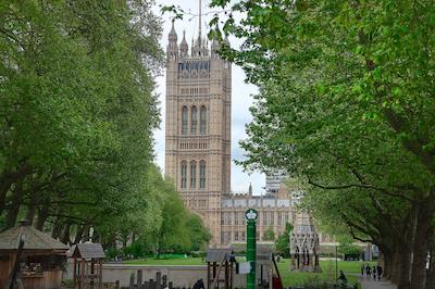 بست وسترن کرنا