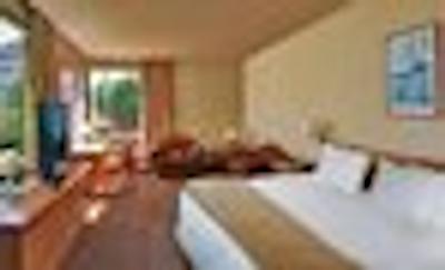 هلید این اکسپرز تموکو