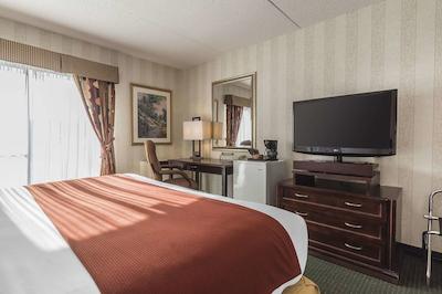 کوالیتی این اند سویتز میسیساوگا