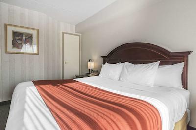 کوالیتی این اند سویتز میسیساوگا