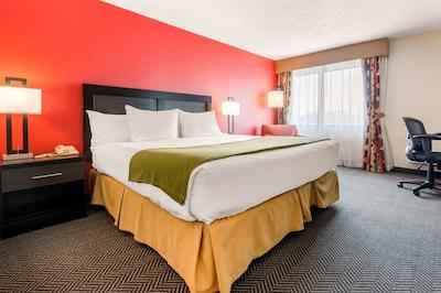 کوالیتی این اند سویتز میسیساوگا