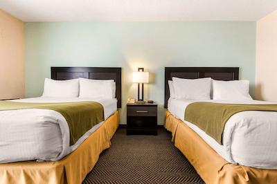 کوالیتی این اند سویتز میسیساوگا