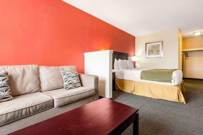 کوالیتی این اند سویتز میسیساوگا