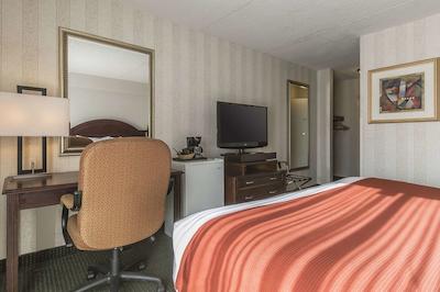 کوالیتی این اند سویتز میسیساوگا