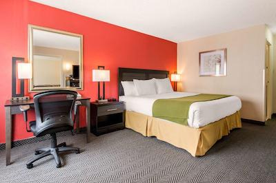 کوالیتی این اند سویتز میسیساوگا