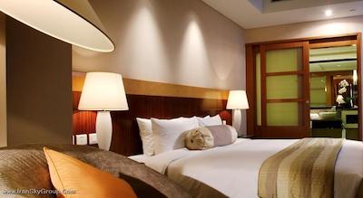 پارک پلازا بیجینگ وانگ فوجینگ