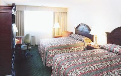 هلید این وینیپگ اسود