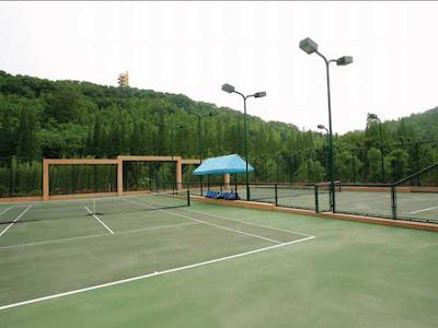 د یولوکس ششان شانگهای ای تریبوت پرتفلیو هتل