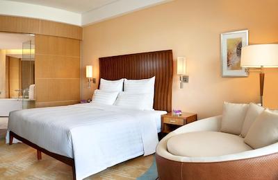 د یولوکس ششان شانگهای ای تریبوت پرتفلیو هتل