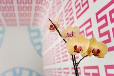 روم مات والنتینا