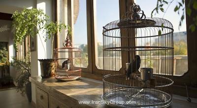 رد وال گاردن