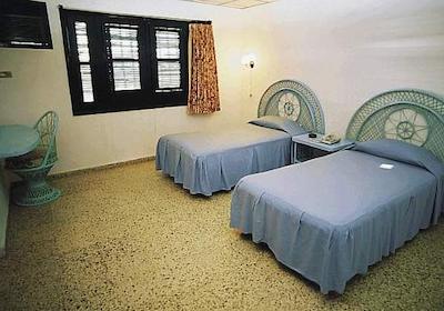 کلوب امیگو کستاسور