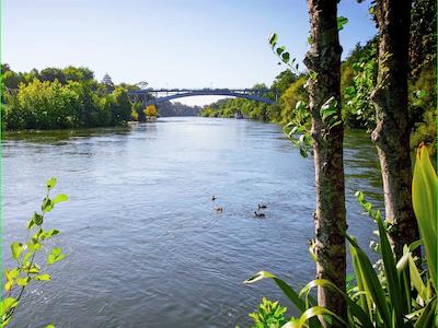 نوتل هامیلتون تینوی