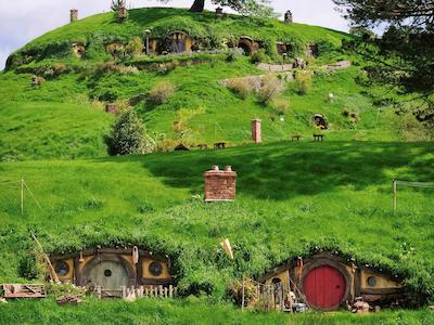 نوتل هامیلتون تینوی