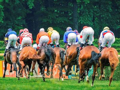 مرکور پارختل کرفلدر هف