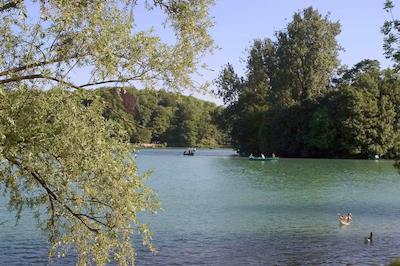 مرکور لین چارپنز