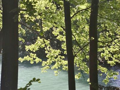 مرکور لین چارپنز