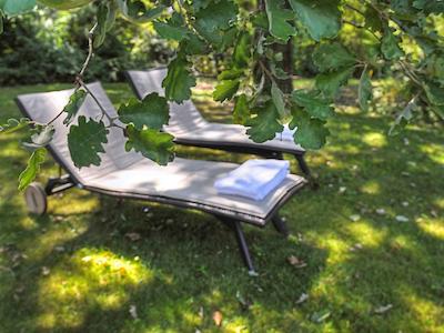 مرکور انتیبز سُفیا انتیپلیز