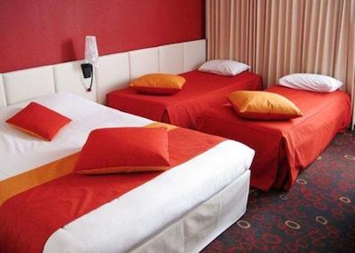 کوالیتی هتل آلیسی پویتیرز نرد