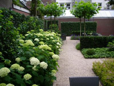 هتل پیت هین