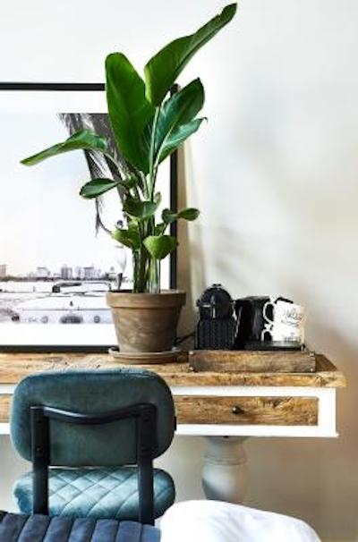 هتل پیت هین