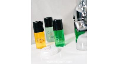 سیتین سیکر پودو