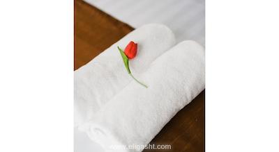 سیتین سیکر پودو