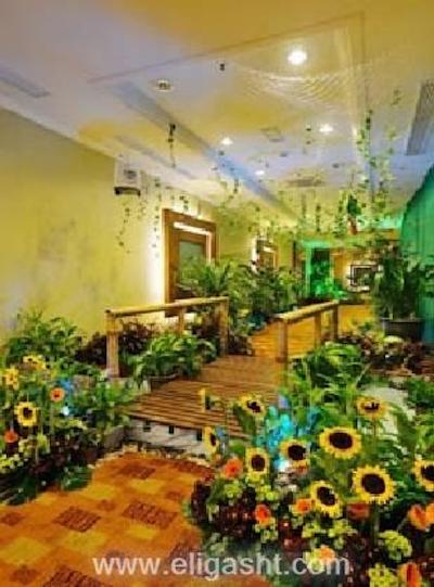 سیتیتل مید ولی