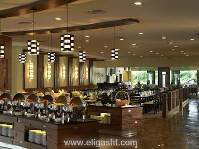 سیتیتل مید ولی