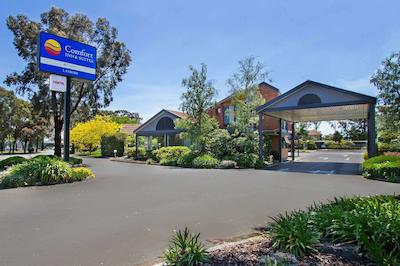 کمفرت این اند سویتز لاترب