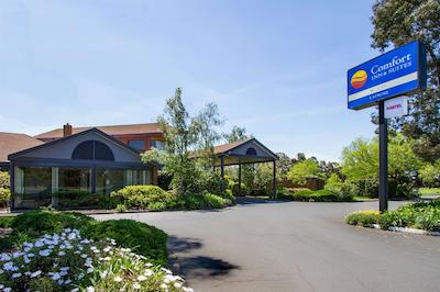 کمفرت این اند سویتز لاترب