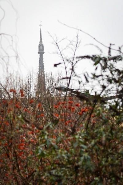 ل رلیز دز دوکس ریویرز